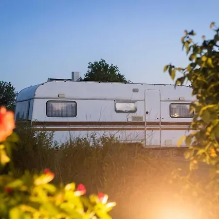 Camping Malkiq Oazis Ezerets Exterior photo
