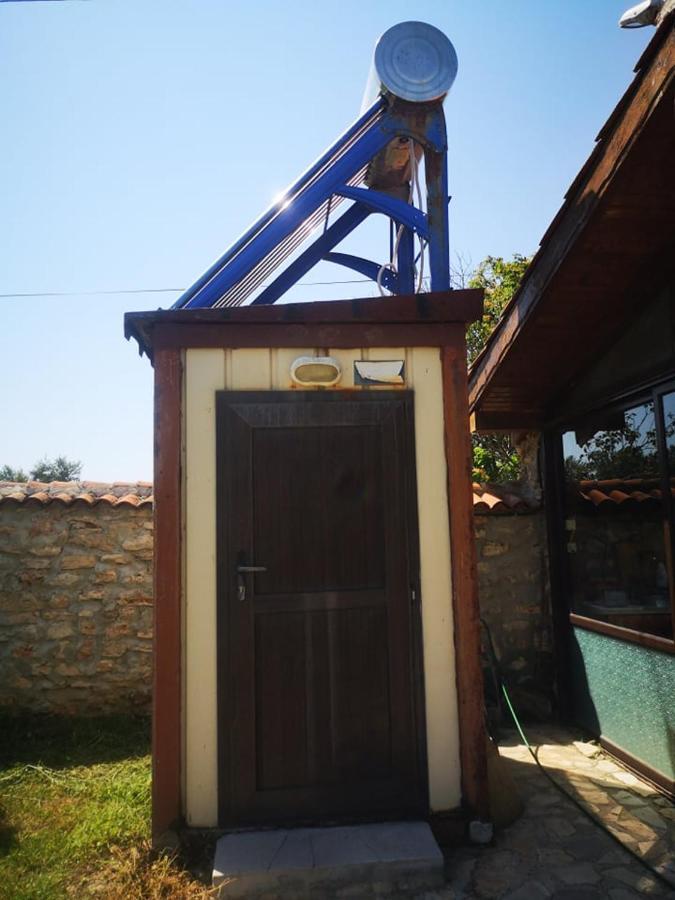 Malkiq Oazis * Ezerets