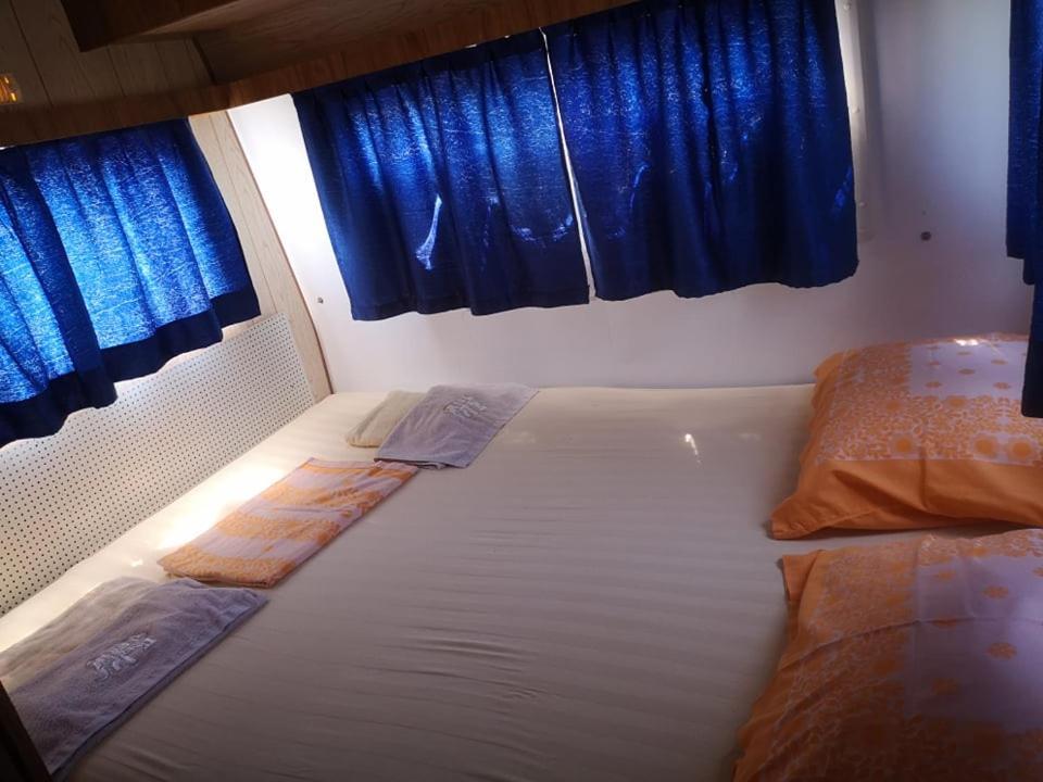 Malkiq Oazis Campsite