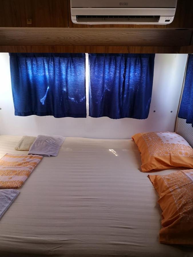 Malkiq Oazis Campsite