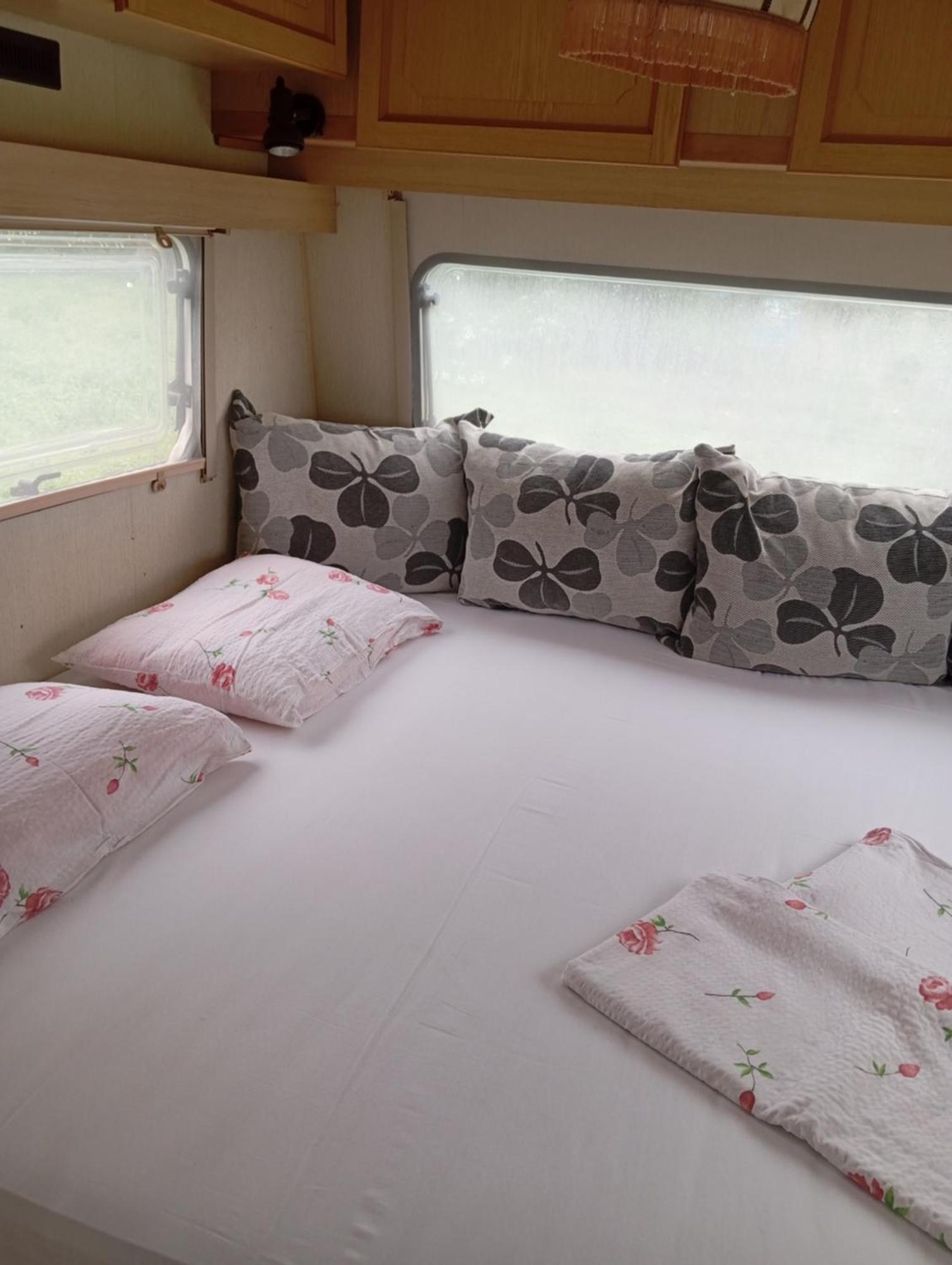 Malkiq Oazis Campsite
